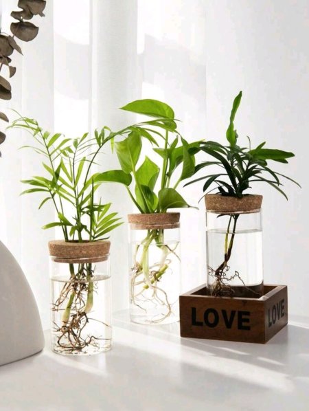 مزهرية زجاجيه