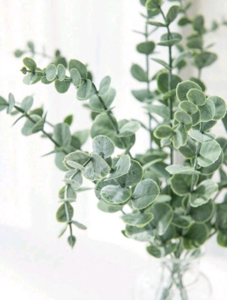 اغصان ديكور